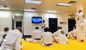 Is it possible to learn jiu-jitsu online?